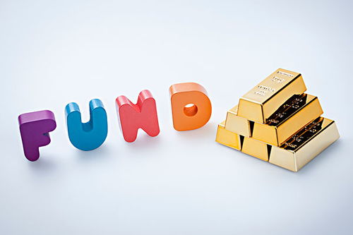 组合筛选，牛基是这样炼成的 好买选基流程全解析与财务咨询服务